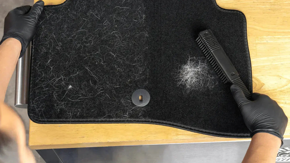 How to clean dog hair from your car's interior quickly and easily. - Chemical Guys