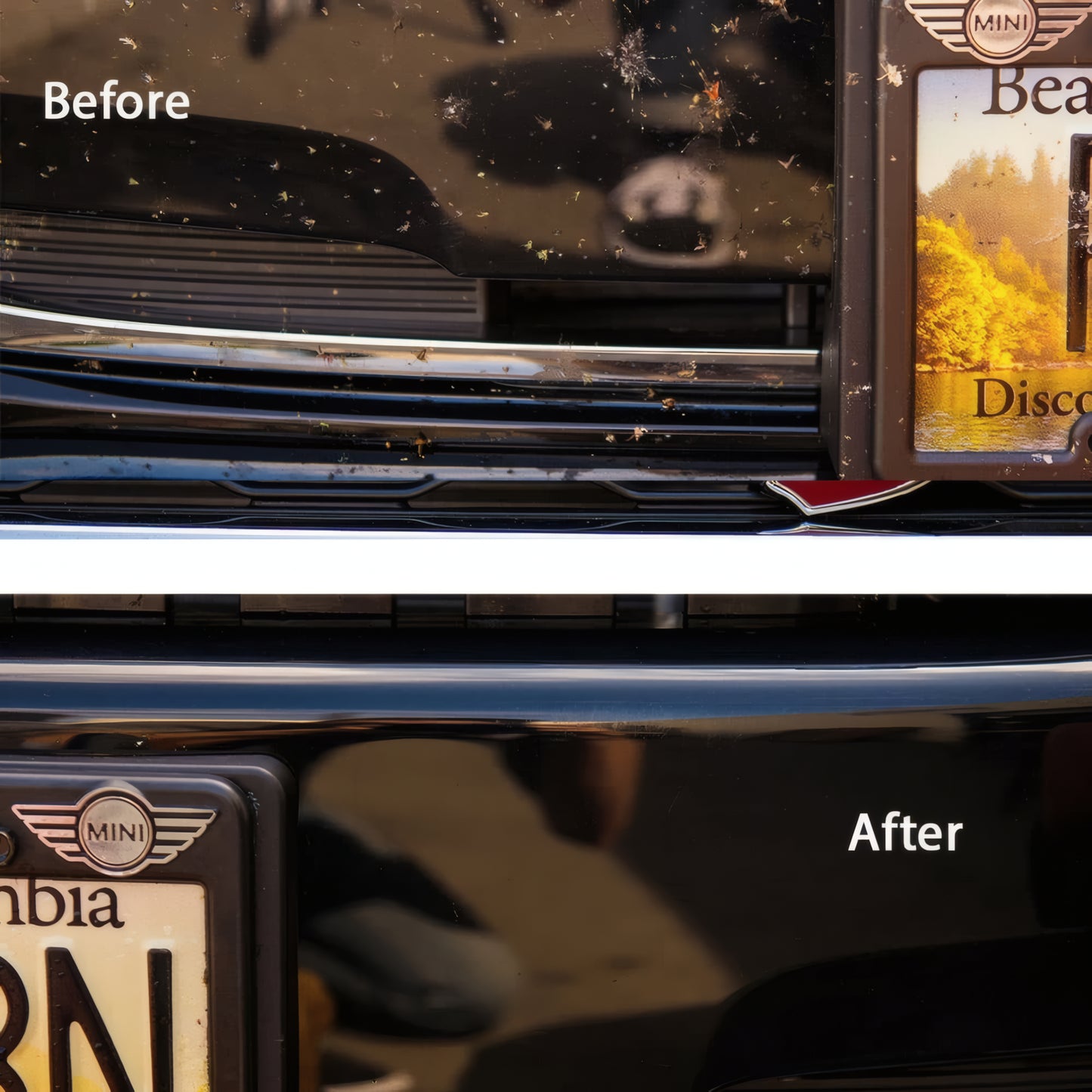 Bug & Tar Remover (1 Gallon)