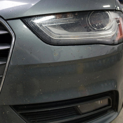 Bug & Tar Remover (1 Gallon)