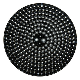 Cyclone Dirt Trap Car Wash Bucket Insert